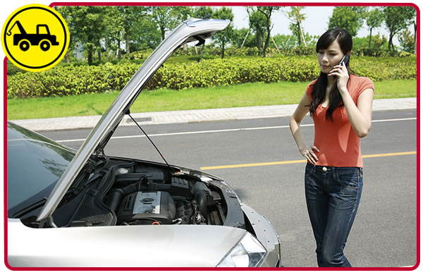 Odoo • Texto e imagen