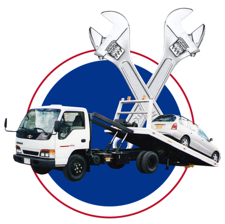 Odoo • Imagen y texto